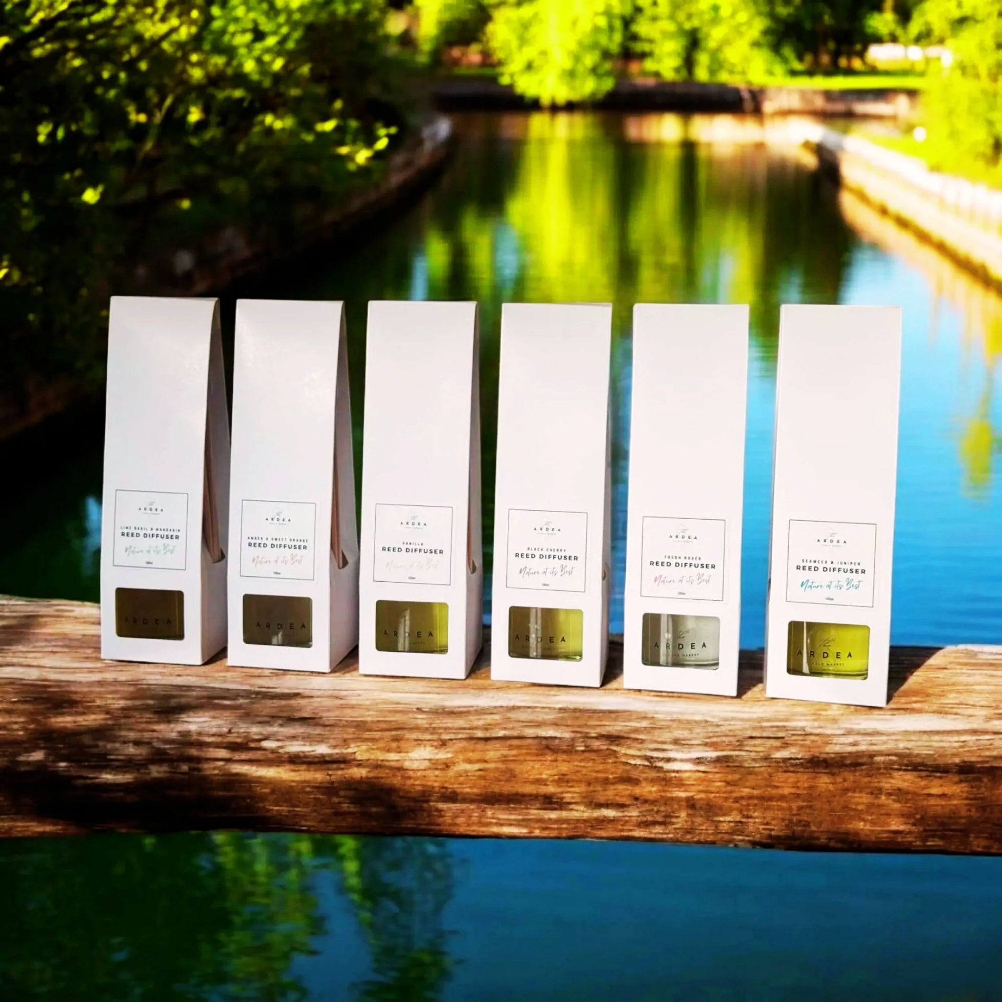 Reed Diffusers and Refills - The Ardea Candle Makers